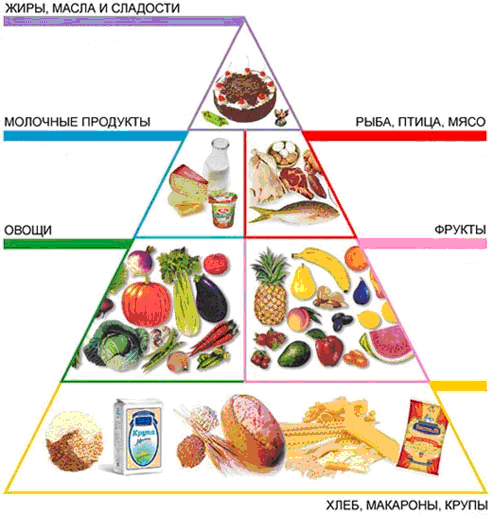 Основы правильного питания